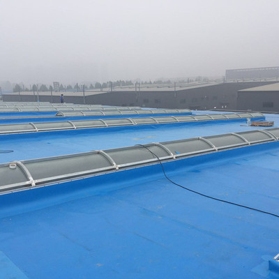 廠家直銷大禹神工牌1.5mm-LTPO防水卷材 高性能建筑防水解決方案