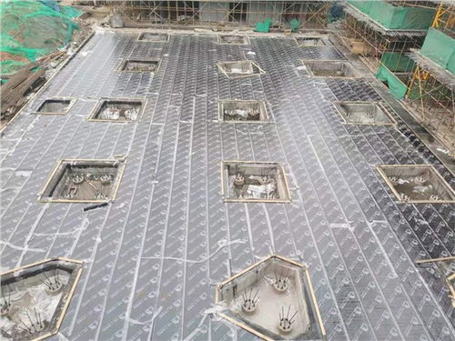 武昌知名自粘卷材 品質(zhì)卓越，售后無(wú)憂，武漢長(zhǎng)盛鑫防水工程專業(yè)供應(yīng)